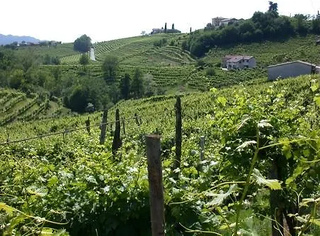 Frühstückspension Pergola 3*